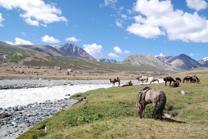Partire in Mongolia: i nostri preziosi consigli per prepararsi bene