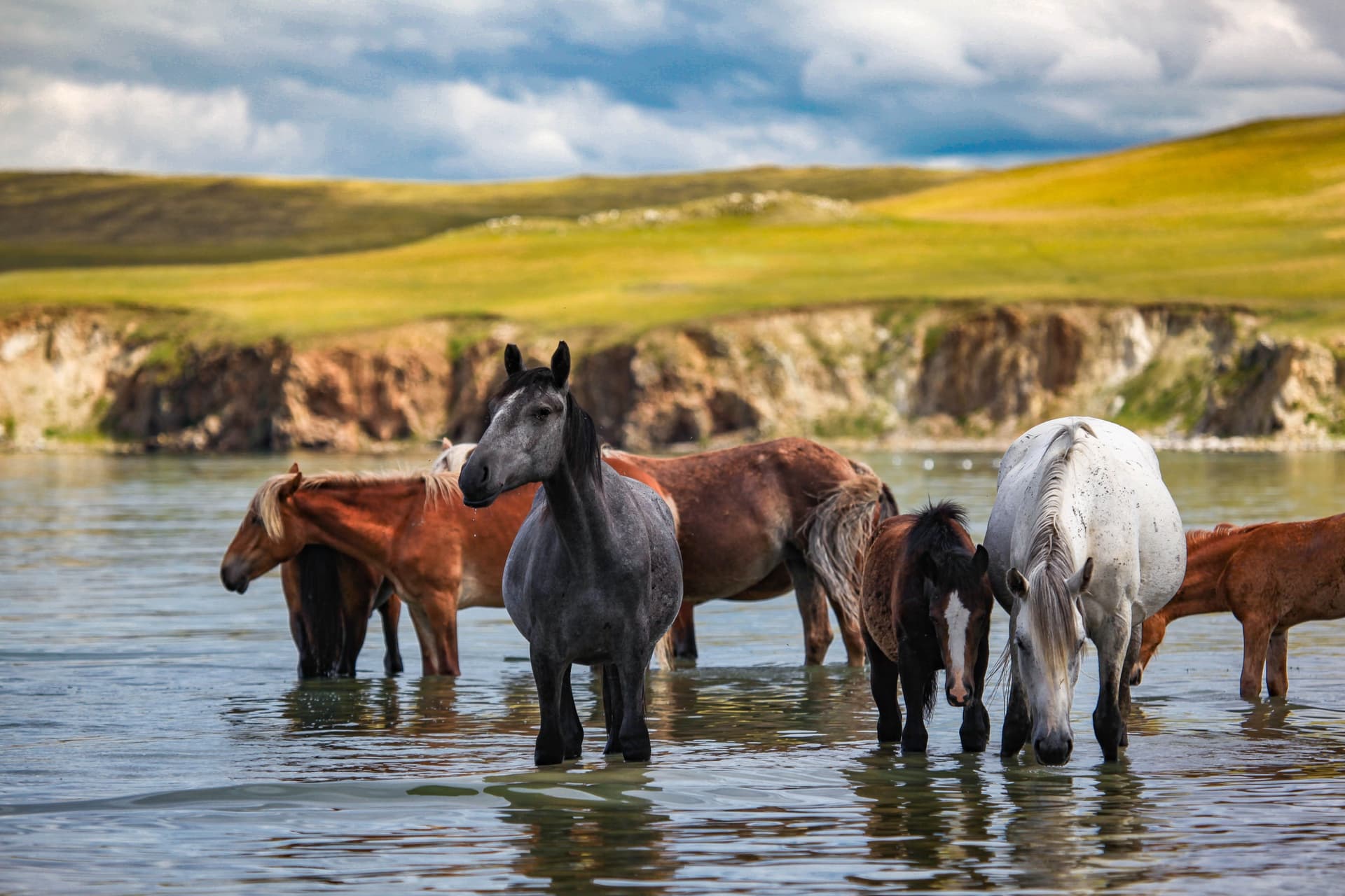 Partire in Mongolia: quale itinerario scegliere?