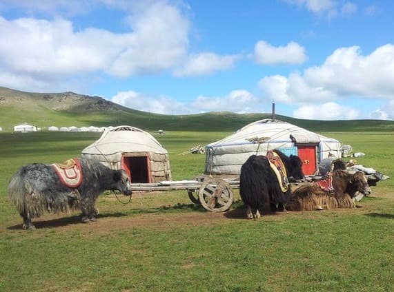 Il campo Mongol Nomadic