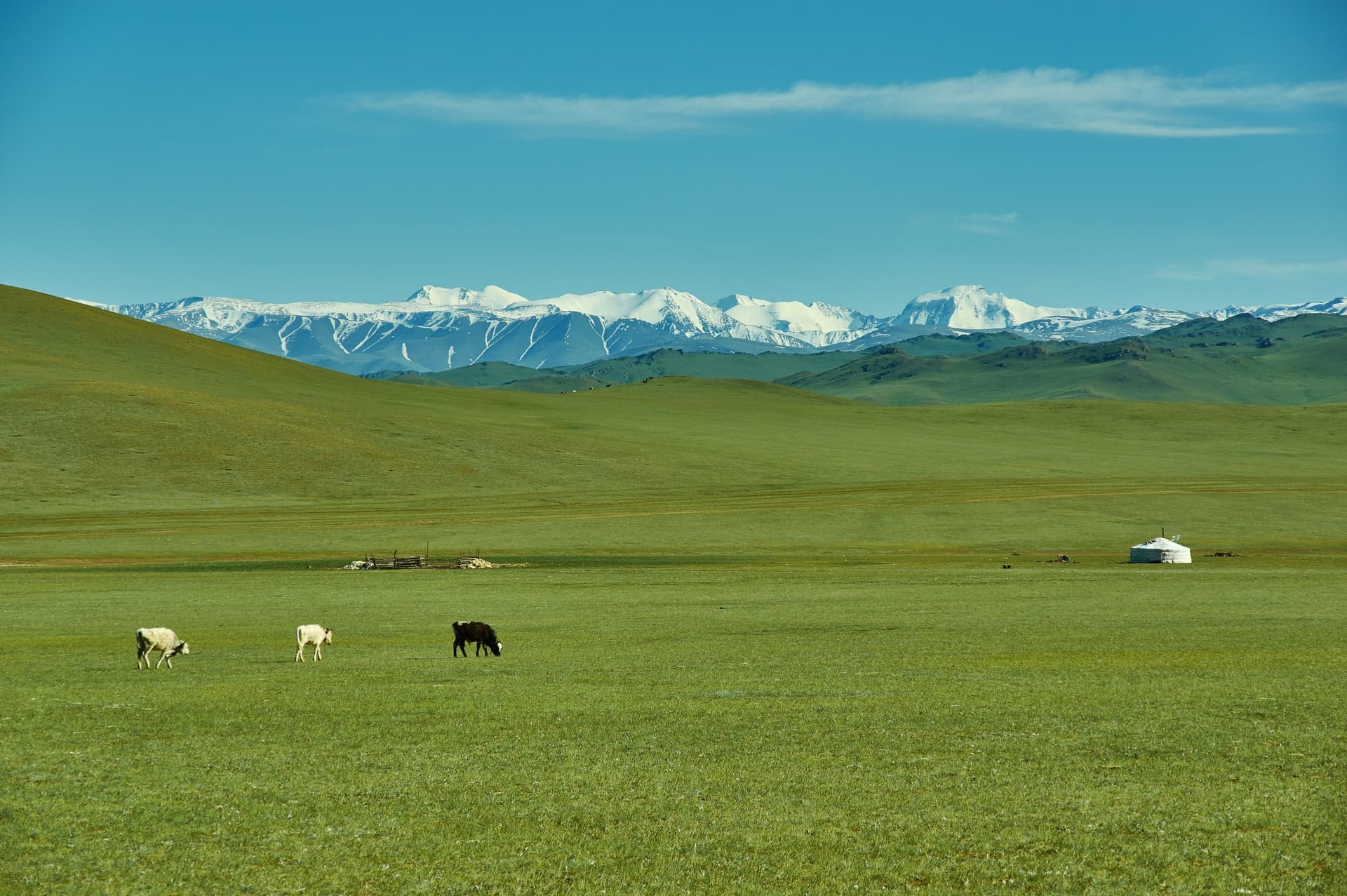 La Mongolie come non l'avete mai vista: trekking nel massiccio del Kharkiraa
