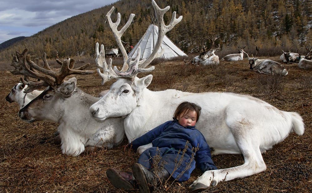 Il fotografo Hamid Sardar ti porta alla scoperta dei nomadi della Mongolia…