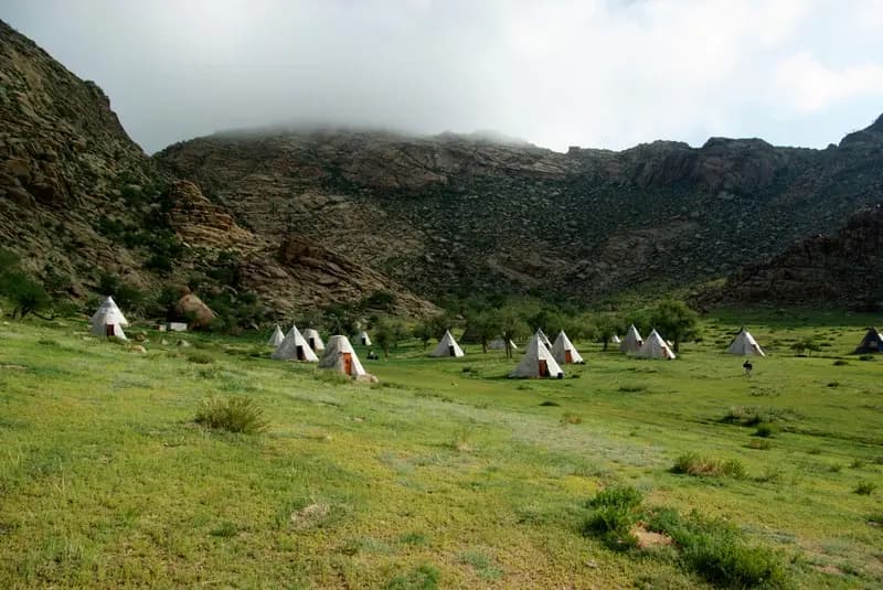 Tipi