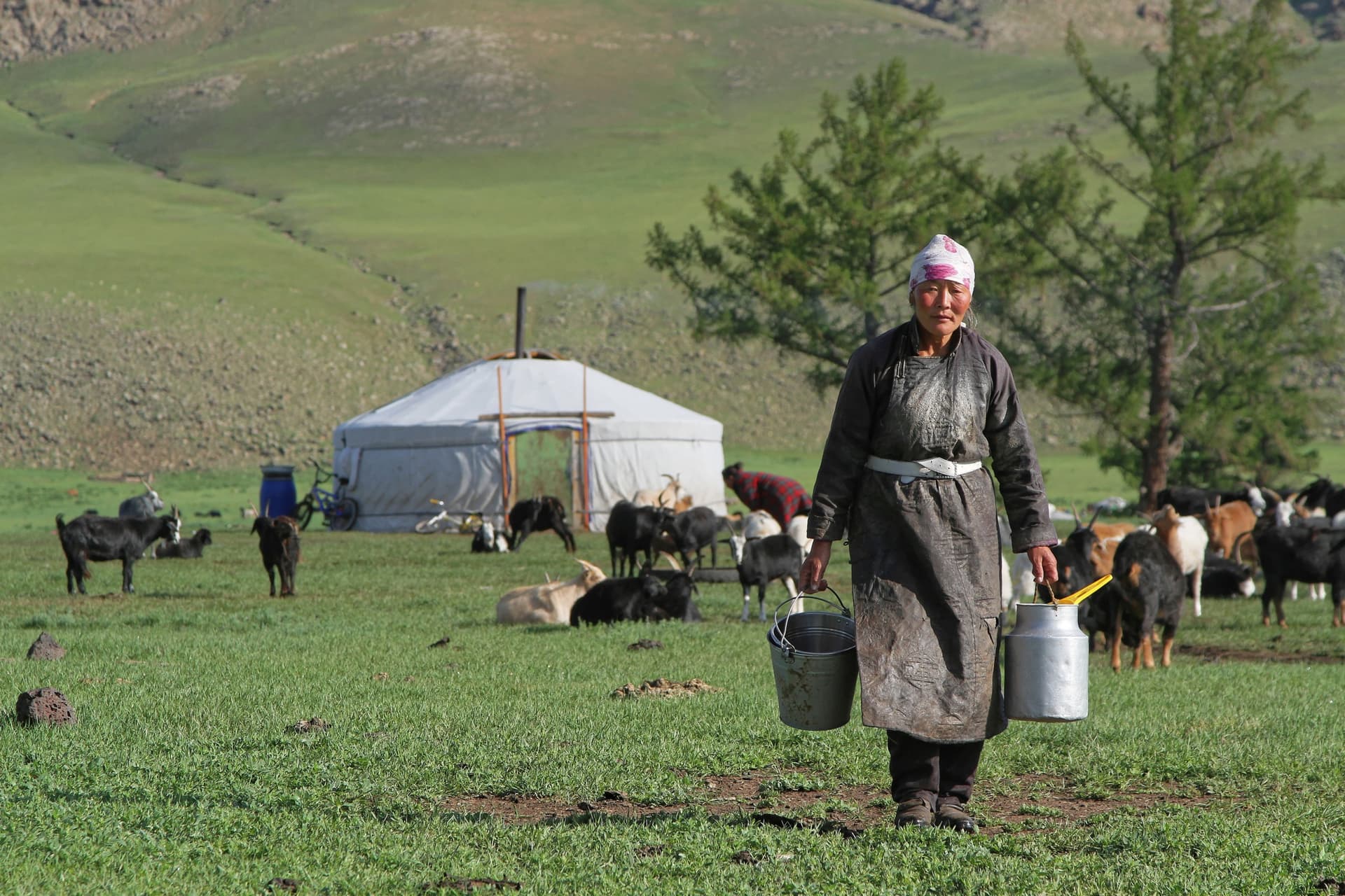 Incontro con le diverse etnie della Mongolia