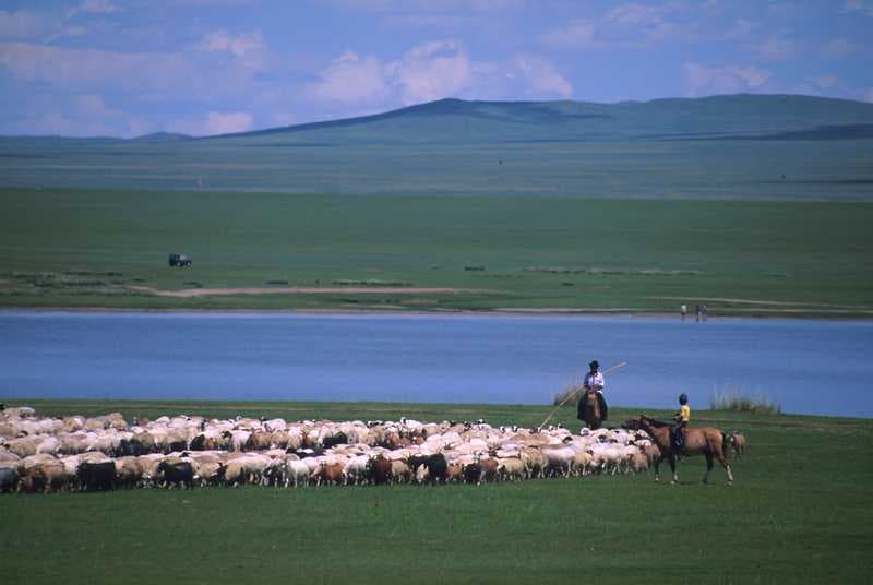 I diversi problemi che affliggono l'agricoltura in Mongolia