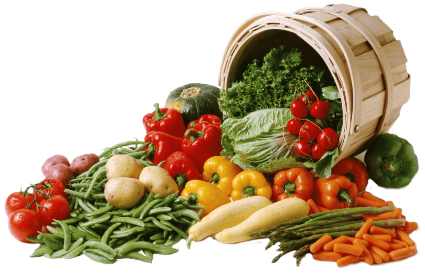 Viaggiare in Mongolia quando si è vegetariani