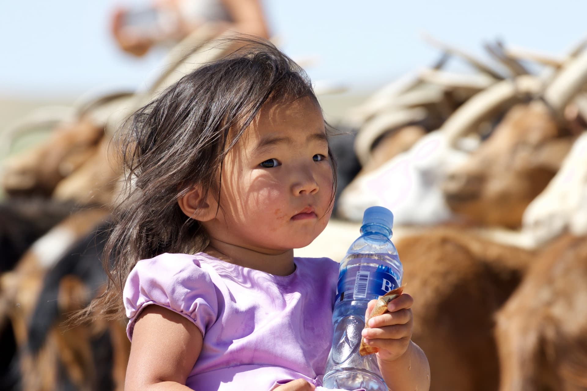 Progetto ecologico Horseback Mongolia: filtri d'acqua per ridurre le bottiglie di plastica nei tour in Mongolia