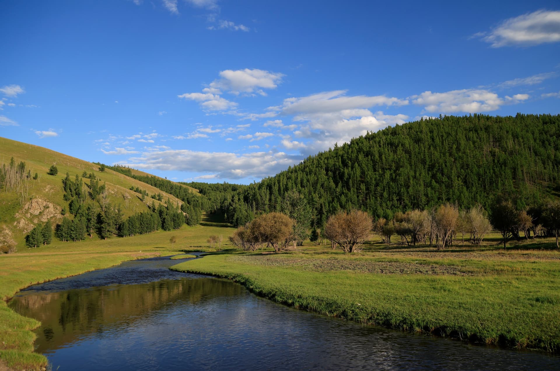 Quali sono le fonti termali in Mongolia?