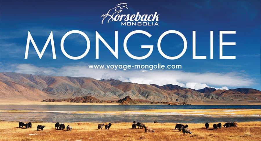 Infografica sulla Mongolia